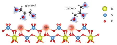 Graphic glycerol’s hydroxyl groups ©HZB